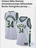 Nike Giannis Antetokounmpo #34 Bucks Swingman Jersey