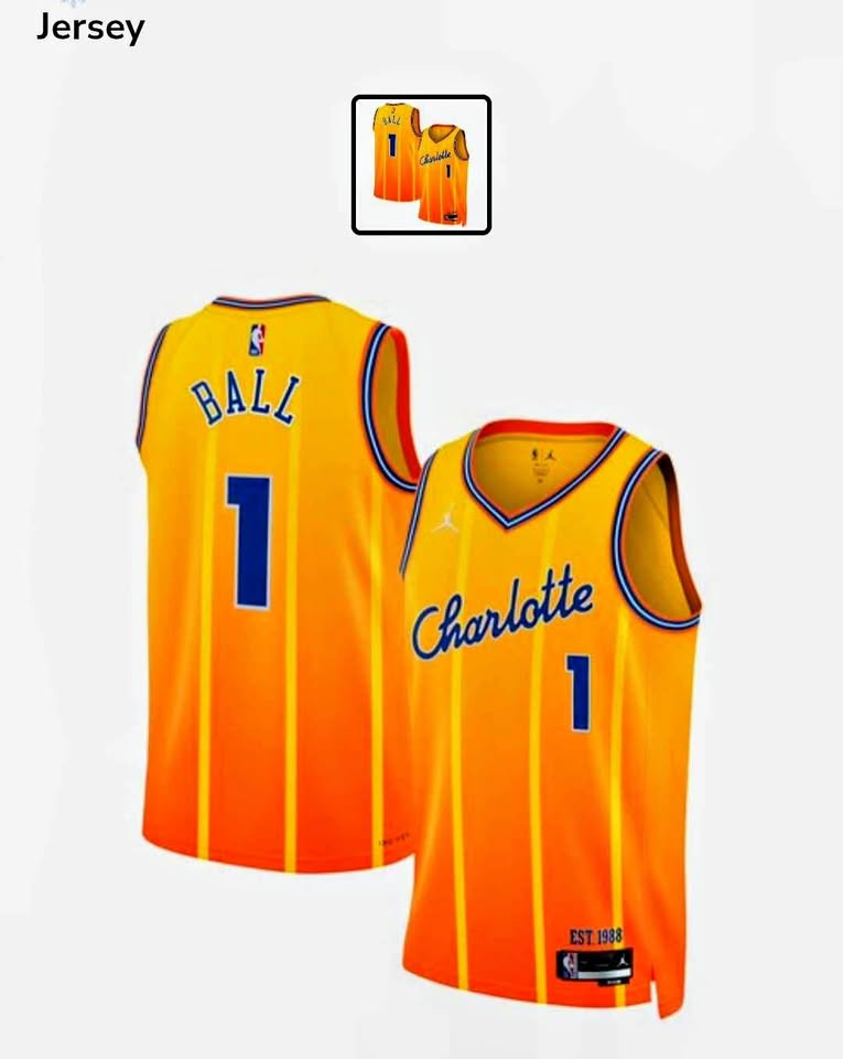 Nike Jordan Charlotte Hornets LaMelo Ball #1 Basketball Jersey