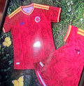 Adidas Colombia Soccer Jersey