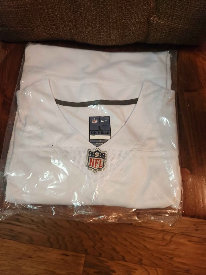 Nike Las Vegas Raiders Fernando Mendoza #15 Jersey