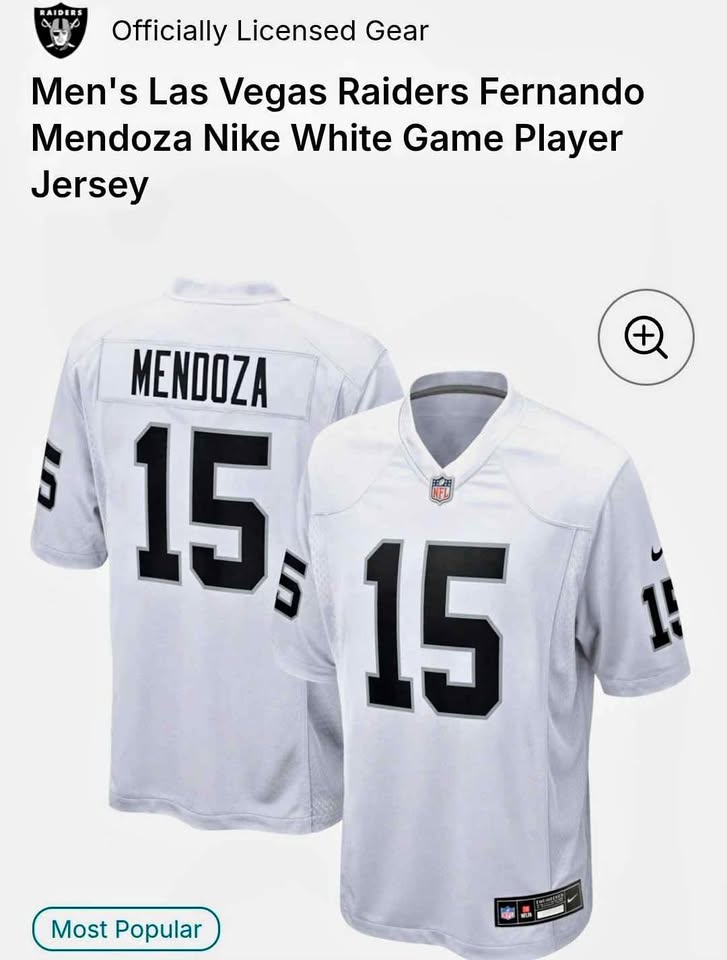 Nike Las Vegas Raiders Fernando Mendoza #15 Jersey